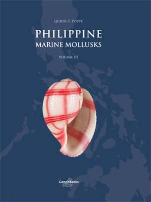 Shells For Sale | The Largest Official Seashells Website | Conchology